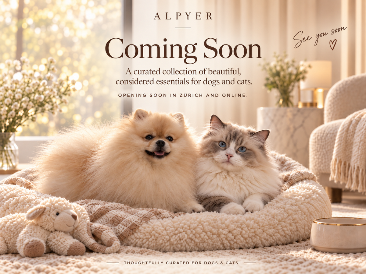 A warm, cozy promotional image for Alpyer featuring a fluffy cream Pomeranian and a long-haired gray-and-white cat resting together on a cream sherpa pet bed in a sunlit living room. Large text reads 'ALPYER Coming Soon' with smaller copy about a curated collection of dogs and cats, and 'See you soon' appears in the upper right.